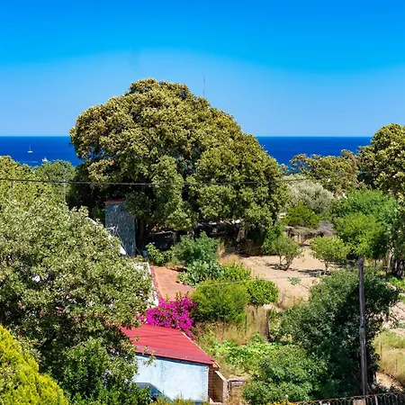 Holiday home Daphne's Tropical House Rhodes *